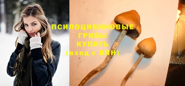 первитин Богородицк
