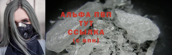 экстази Богданович