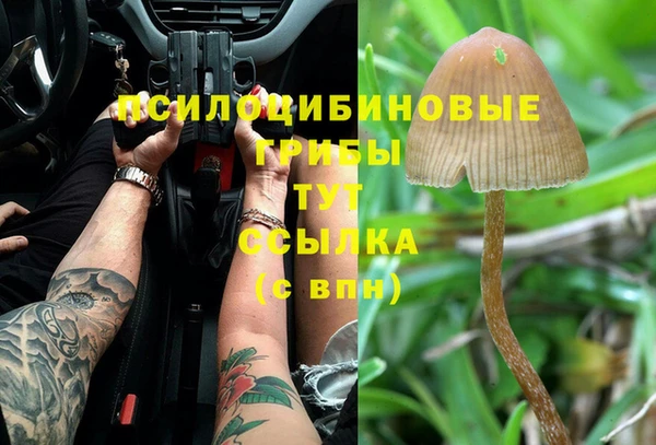 экстази Богданович
